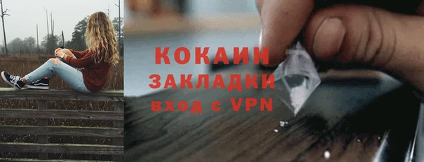 стафф Богданович